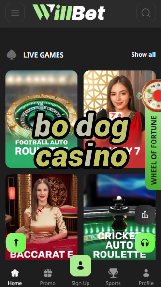Bo Dog Casino - Best Dog-Themed Casino-casino720p.ydblkf.net