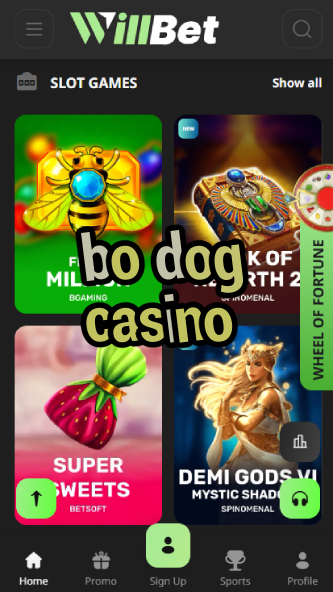 Bo Dog Casino - Best Dog-Themed Casino-casino720p.ydblkf.net